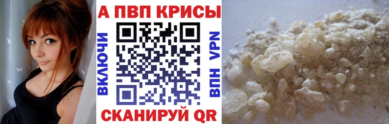 A PVP СК КРИС  Владимир 
