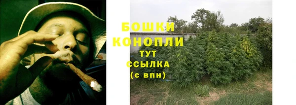молекула духа Нефтекумск