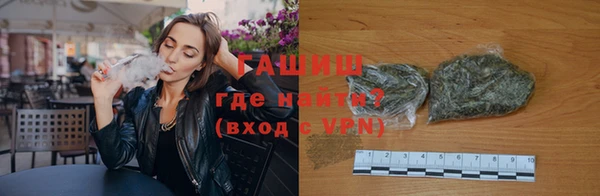 индика Алзамай