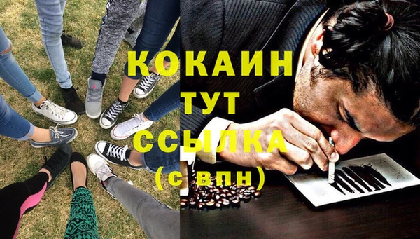 индика Алзамай