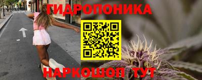 крисы Аргун