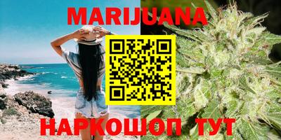 крисы Аргун
