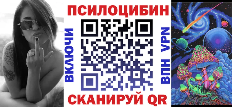 купить наркотики цена  Владимир  Галлюциногенные грибы Psilocybe 