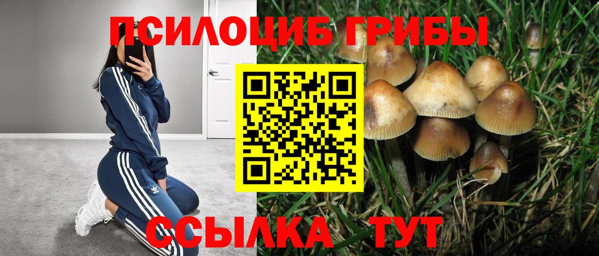 Владимир  Псилоцибиновые грибы ЛСД  Вход с VPN 